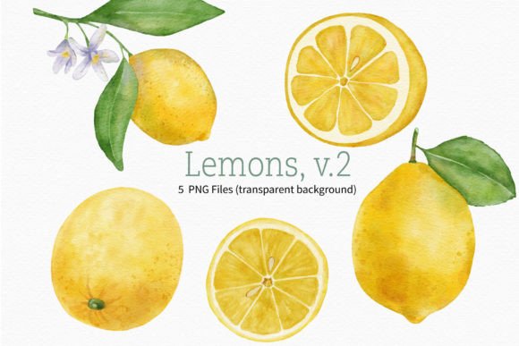 Download Lemon Watercolor Fruit Clipart Branch - Premium Resources
